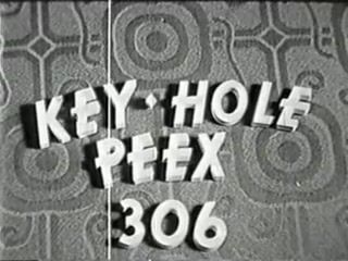 Best Blow Job Ever Key Hole Peex 306 PlanetSuzy