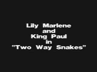 Sentones Lily Marlene Two way Snakes Clip(Gr - 2) Tits Big...