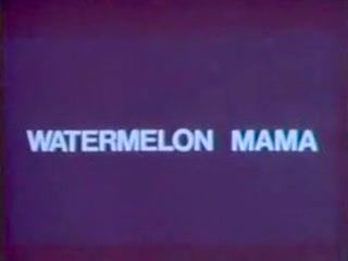 NoBoring Classic Vintage Retro - DiamondClip - Watermelon...