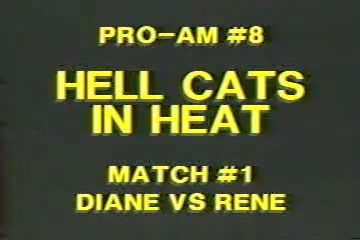Old Diane Berry vs Renee LaMorte Sfico