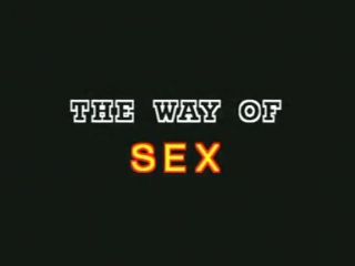 Pururin The Way of Sex Arxvideos