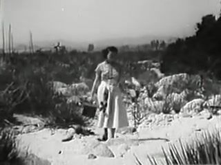 Blow Job Woman in Desert VideosZ