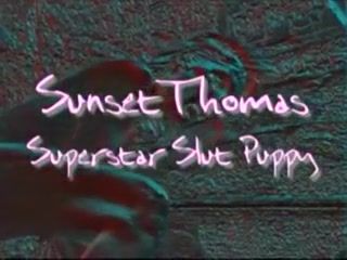 Bigass Sunset Thomas - Superstars of Porn sunset Thomas Scene 1 Dress