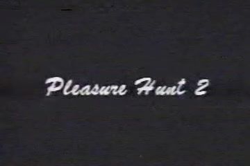 Myfreecams Ginger Lynn - Pleasure Hunt 2(movie) Sexvideo - 1