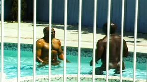 Free Amateur Three Steamy Muscular Gay Guys In A Pool Interracial Porn Cum