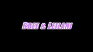 Blowjobs SloppyGirl - Bree Leilani - leilani leeane iDope