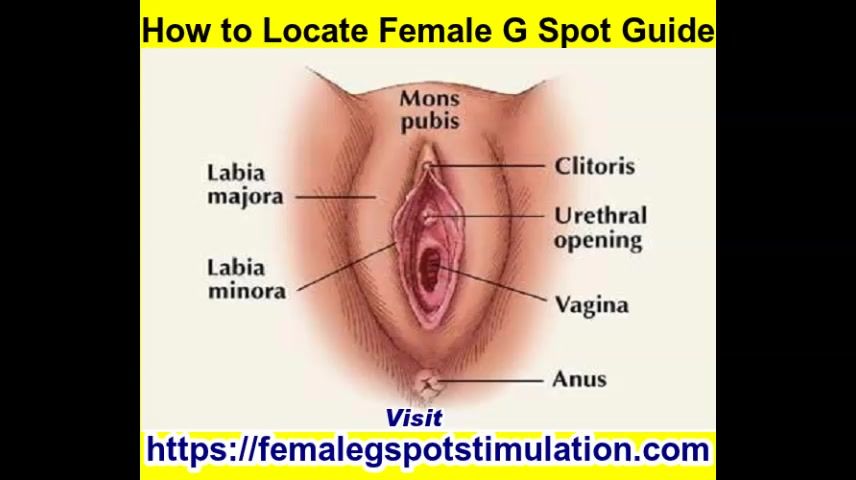 Free Amatuer Porn Multiple Clitoral Orgasms with G Spot Stimulation Korean