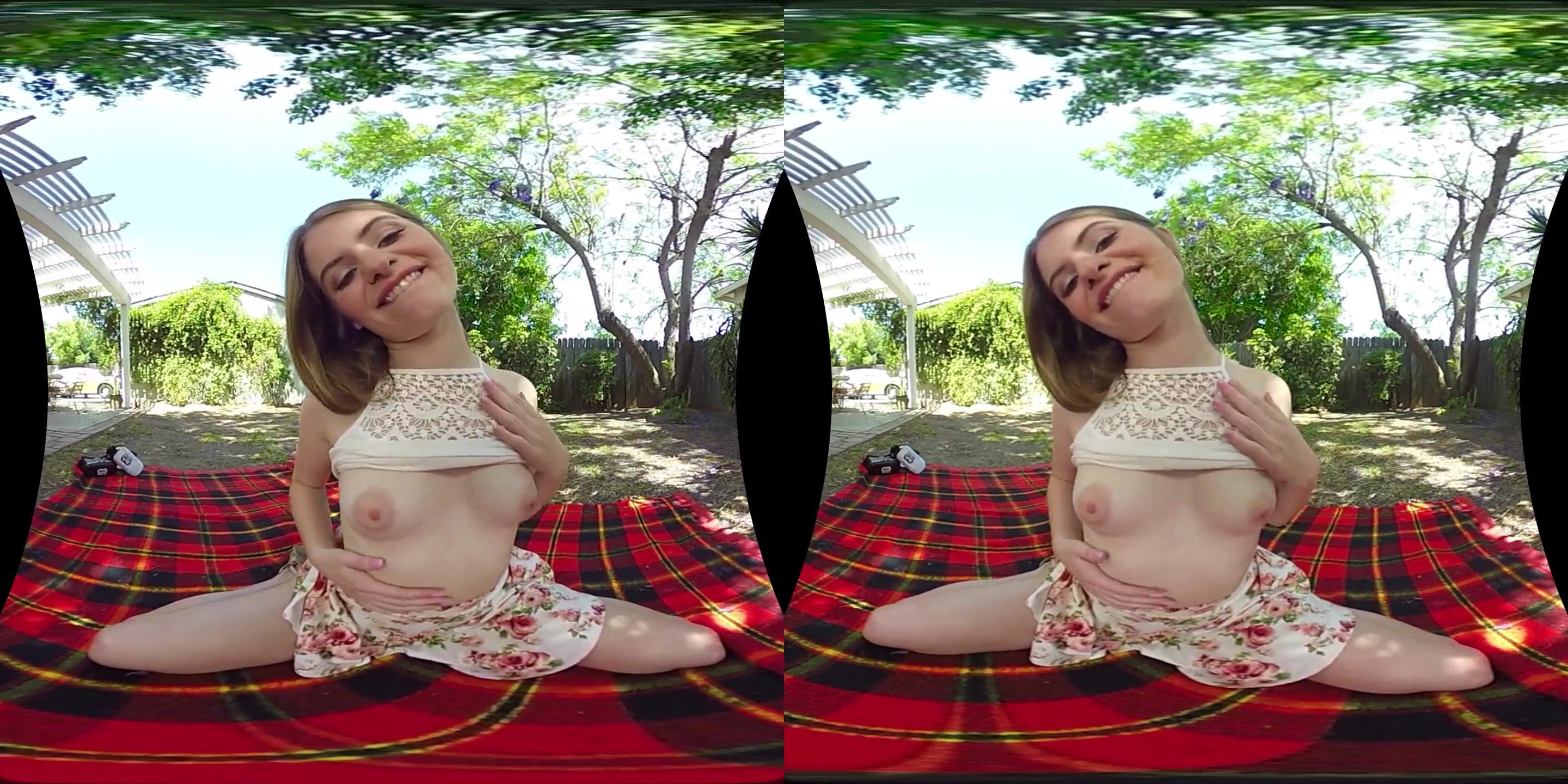 Charley Chase Picnic Bash - hot babe VR porn video Fakku