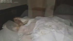 Scatrina Sleeping Japanese Stepmom gets late night visit - Asian hardcore with cumshot Hot Chicks Fucking