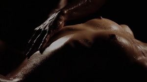 FireCams Anita Bellini art interracial sex video ThePhoenixForum